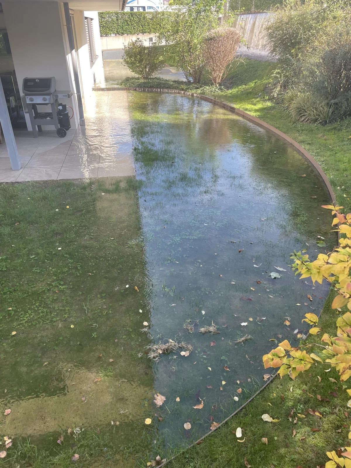 Ein Lieferwagen einen Hydranten und sorgt für eine Wasserfontäne.